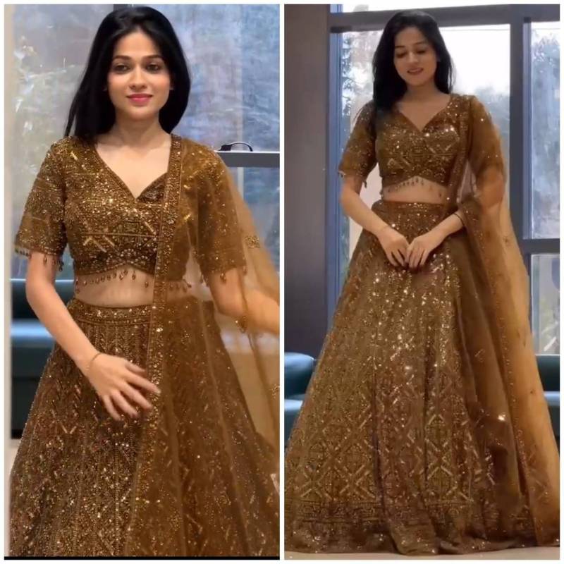 Butterfly Net Sequence Work Lehenga Choli Set