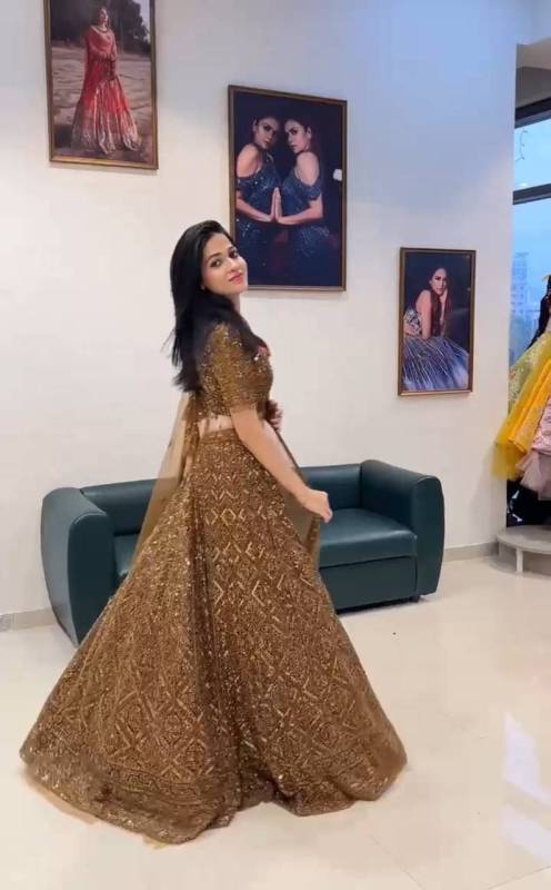 Butterfly Net Sequence Work Lehenga Choli Set